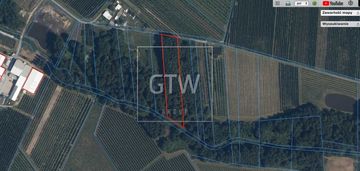 Rolno-leśna działka trzylatków duży, gm. błędów