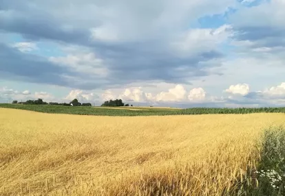 Działka na sprzedaż 1m2