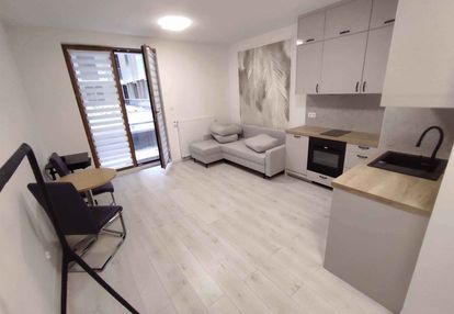 Luskusowy apartament w ścicłym centrum , studio