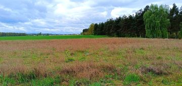 Morzewiec 1022m cisza spokój ściana lasu