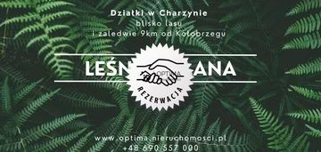 Działka z widokiem na las, obok vilpark