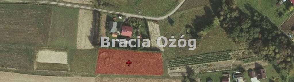 Łubno (gm. dynów), działka na sprzedaż