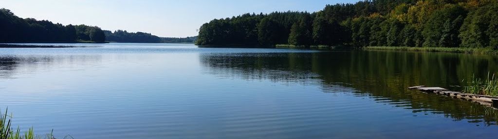 Urokliwa działka budowlana 30 km od gdańska