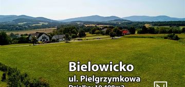 Działka | 1ha budowlany | piękny widok