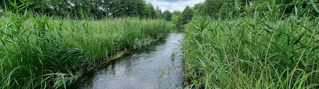 Działka z dostępem do rzeki czarna hańcza