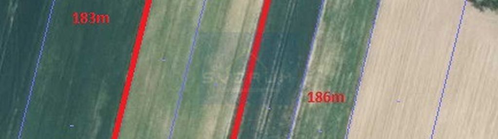 Duża działka nagłowice