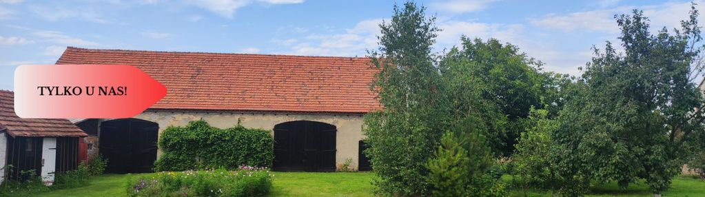 Działka rolna z dużą stodołą.