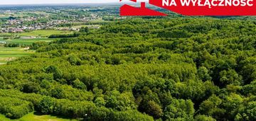 Działka leśna w skrzyszowie
