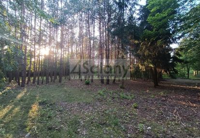 Sulejówek, piękna dzialka z drzewami