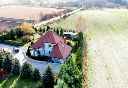 Zielona, spokojna okolica blisko lasu