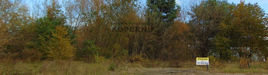 Trzy działki !!! toruń rudak 5353m2