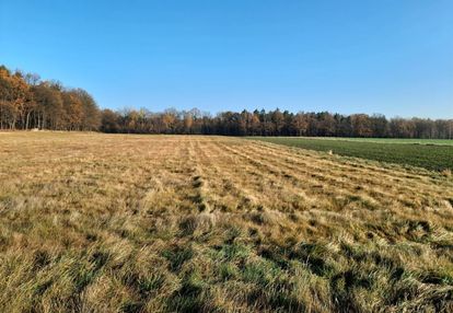 Do sprzedaży 5 działek przy ul. mikołowskiej tychy