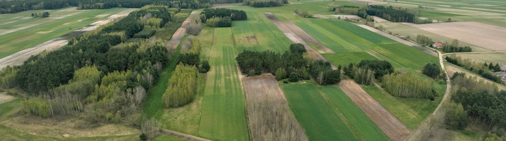 Działka rolna powierzchni 3,19ha gm. złoczew