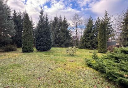Przestronna działka otoczona świerkami