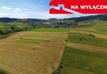 Działka w grywałdzie; 1,1003 ha; warunki zabudowy