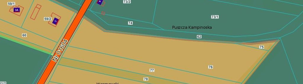 Unikat - dom przy granicy kpn - kampinos