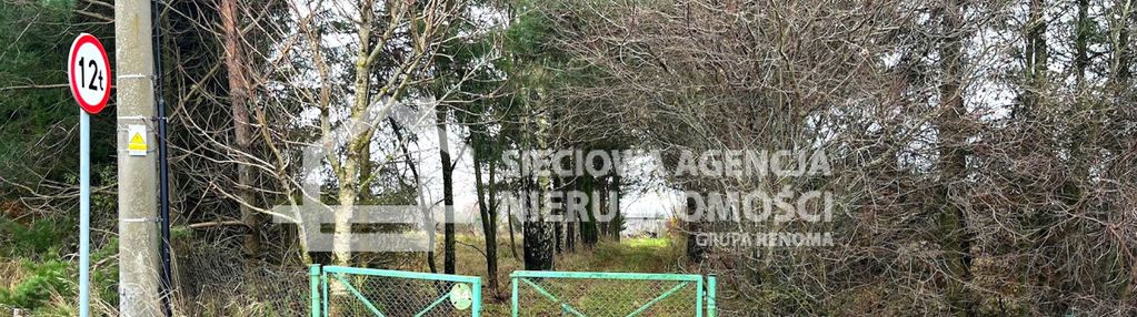 Połęczyno siedlisko 0,6 ha na sprzedaż.