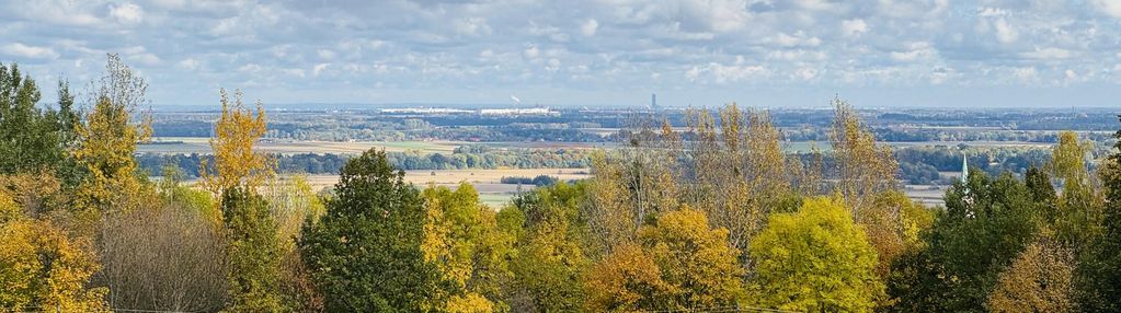 Na sprzedaż wyjątkowa działka 1,8 ha – sobótka, u podnóża góry wieżycy