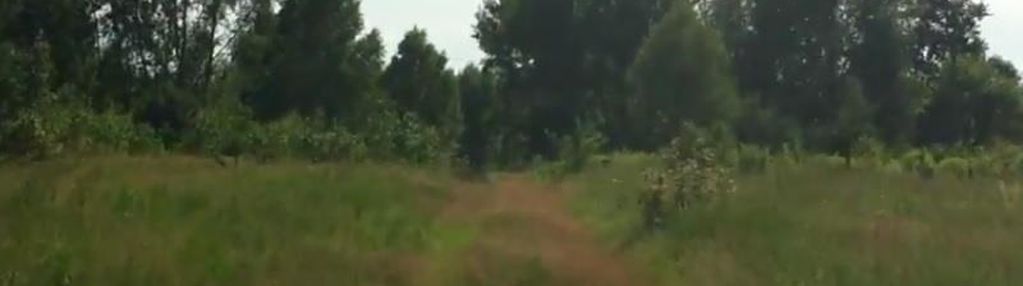 Kompleks działek koło żabiej woli