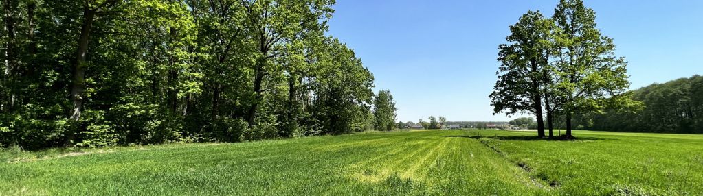 Piękna działka zabudowa jednorodzinna zadębie