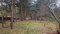 Piękna działka budowlana w trzcianch