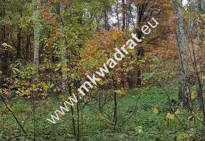 ⭐⭐⭐⭐ działka budowlano-leśna z m-p-z-p ⭐⭐⭐⭐