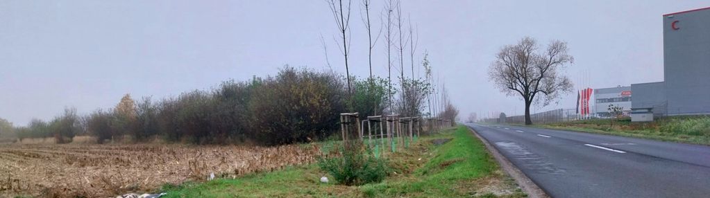 Działka usługowa, mpzp, prostokatna, 1,21 ha.