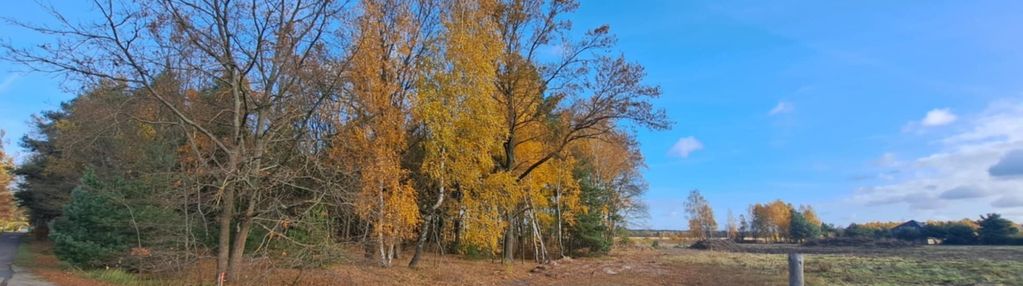 Działka budowlana 1,6 ha z mpzp - nowomłyny