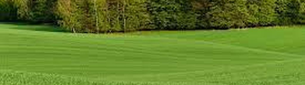 Działka pod zabudowę jednorodzinną- gręzów