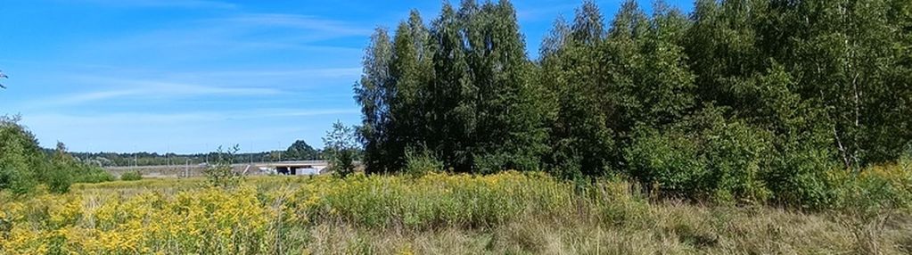 Działka usługowo-produkcyjna ,5781 m2