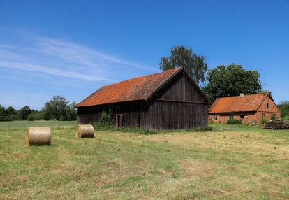 Malownicze siedlisko 13 ha przy lesie i łąkach