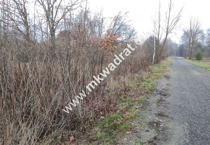 ⭐⭐⭐⭐ działka budowlana 4851 m budy grzybek ⭐⭐⭐⭐