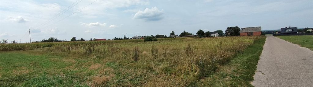 Działka rolna, 66ar, kuny/władysławów