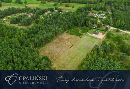 Do zagospodarowania | 45,11 ar | zielona okolica