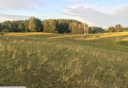 Działka na sprzedaż 8600m2