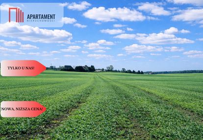 Osetno. 9 działek budowlanych blisko jeziora i las