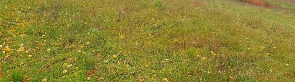 Działka budowlana 18 ar tuchów, widokowa !