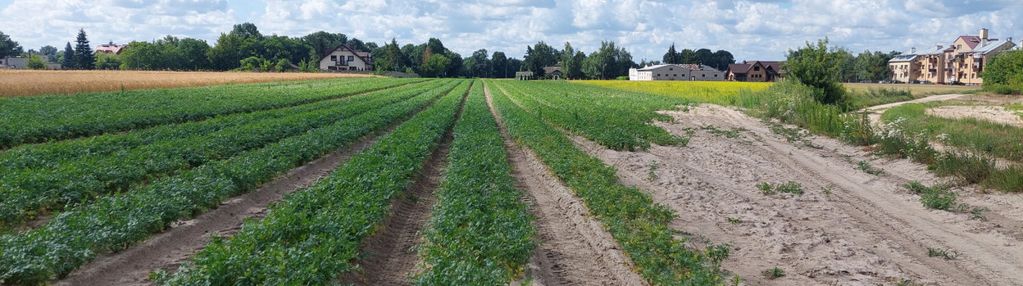 Działka 1ha zabudowa szereg /bliźniacza blisko waw