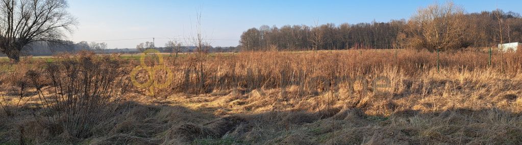 Atrakcyjna działka budowlana w bełchatowie