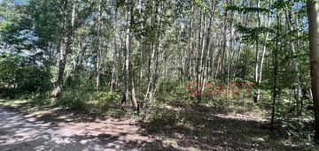 Malownicza działa w otulinie lasu!