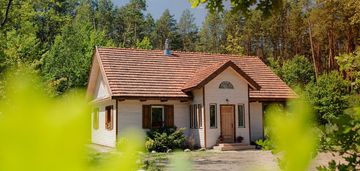 Jagodowy zakątek – twój azyl na podlasiu