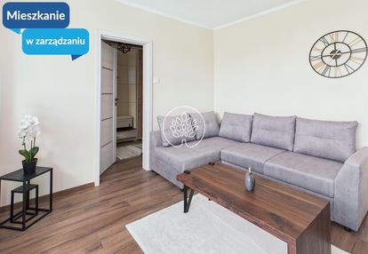 Dwupokojowe mieszkanie na wynajem !