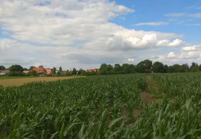 Działka na sprzedaż 4500m2