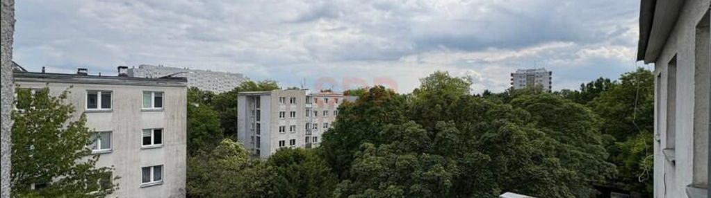 Trzy pokoje na borku