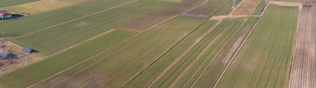 Działka 1,36ha strzebiń pod rolę, farmę i inne w/z