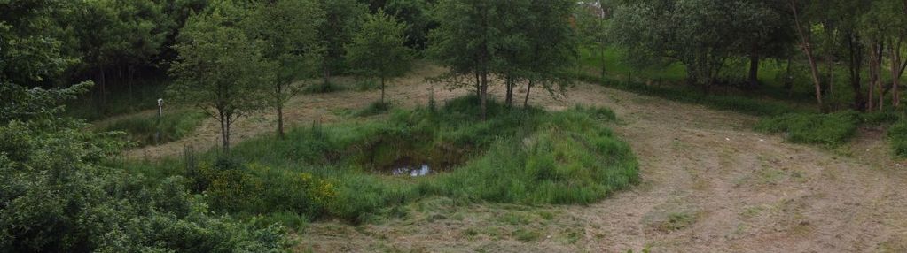 Działka rybnica