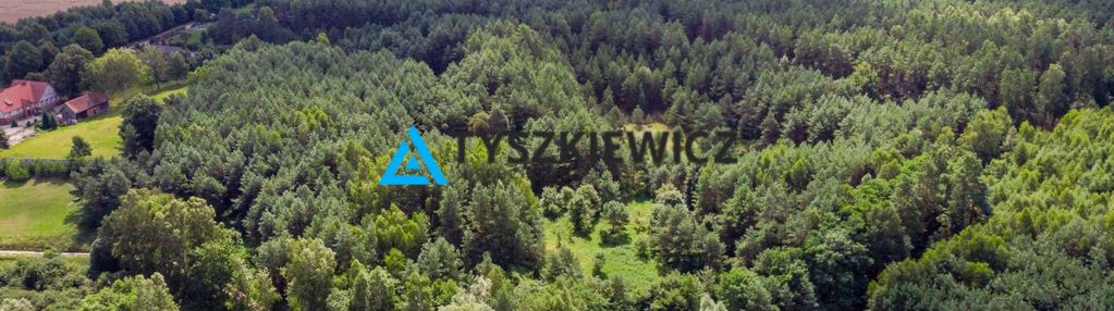 Duża działka rolna w miejscowości lipy!