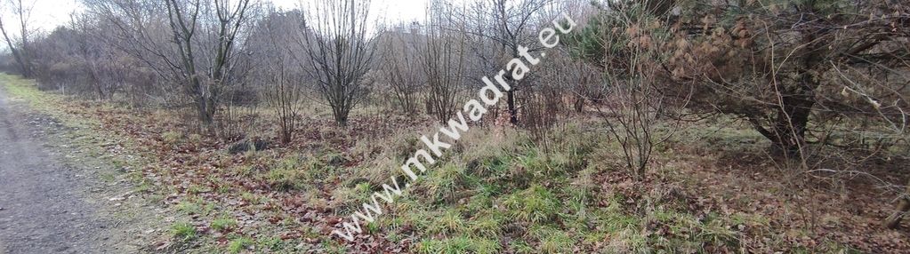 ⭐⭐⭐⭐  działka budowlana 1303 m budy grzybek ⭐⭐⭐⭐