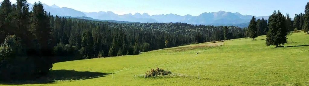 Działka  w rzepiskach z widokiem na tatry