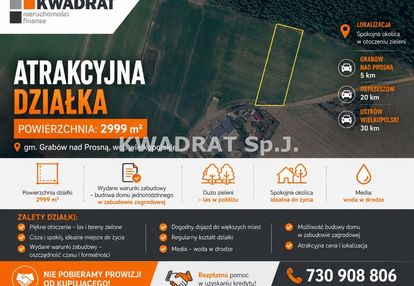 Duża działka pod lasem (2999 m²)– grabów wójtostwo